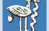 ÖĞRENCİLERİMİZİN DİKKATİNE! 2012-2013 ÖĞRENCİ BURSLARI
