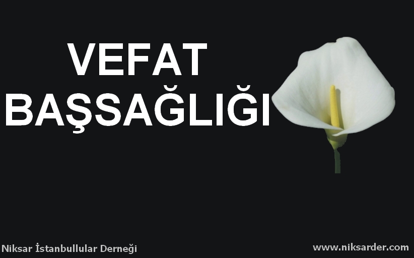 Sağlık İçin, Niksar Ayvaz Suyu İçin