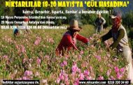 Niksarlılar 18-20 Mayısta Gül Hasadında