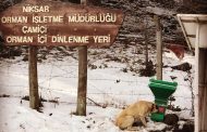 İyi ki Varsın Niksarlı Eren