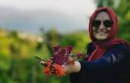 Vefat ve Başsağlığı; Hümeyra Saraç