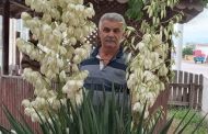 Vefat ve Başsağlığı; Ahmet Şakir Tüzen